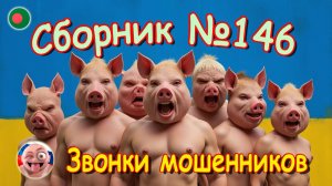Сборник №146