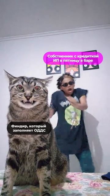 Собственник гуляет - финдир считает 😁