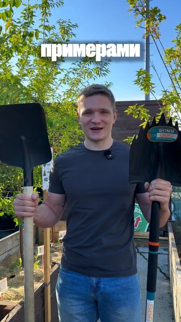 А ты заметил ошибку?