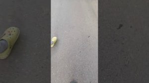 привет подружкам