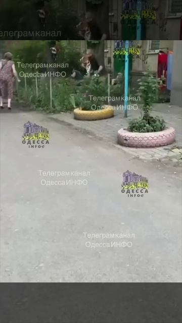 Одессит при попытке захвата открыл огонь по ТЦКашникам и ранил четверых упырей