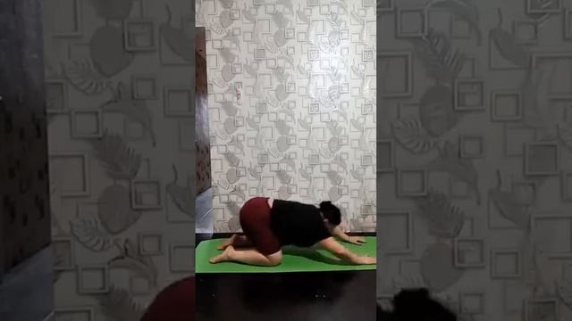 гимнастика для всех