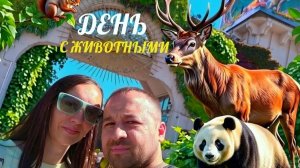 Московский зоопарк 2026. День с увлекательными животными и масса впечатлений