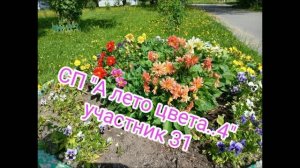 СП «А лето цвета 4«уч31.отчет 5