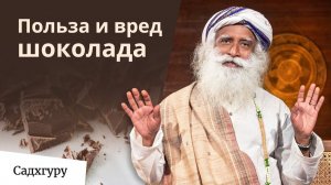 Шоколад — вреден или полезен?