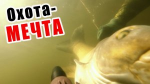 ТРОФЕЙНАЯ ОХОТА НА БЕЛОГО И ЧЁРНОГО АМУРА!!! ДЛЯ ЭТОЙ РЫБЫ Я РЕЖУ ЛИНЬ!!! ОХОТА-МЕЧТА!!!