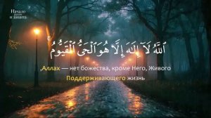 Сура Аль Бакара. Очищение дома. От сглаза. От порчи. От джинов и колдовства