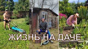 Жизнь на даче