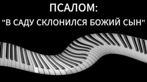 (02.08.2026) - «В САДУ СКЛОНИЛСЯ БОЖИЙ СЫН» / ХОРОВАЯ ГРУППА