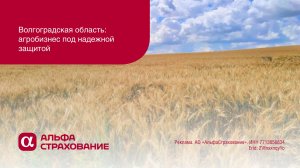 Волгоградская область: агробизнес под страховой защитой