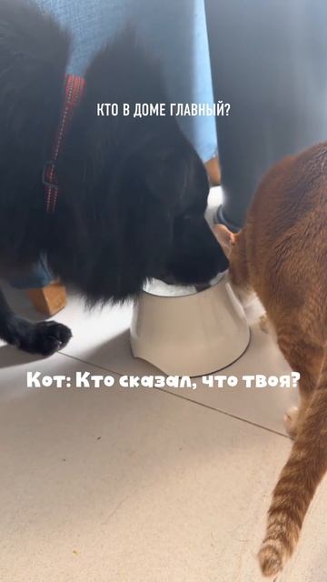 Новая драма Голливуда уже в эфире