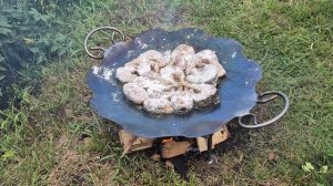 Золотистый белый амур на садже!