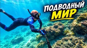 ИСХОД РУССКИХ МУЖИКОВ В ДЖУНГЛИ. ИДИ ПОКАЖУ ЧЁ! ТЫКАИ НА ВИДОС И НАСЛАЖДАЙСЯ ВИДОМ! ФИЛИППИНЫ!