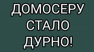Тараканьи брови ОЛАШКИ