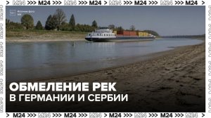 Жара вызвала обмеление рек в Германии и Сербии - Москва 24