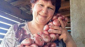 🧅 ПЛЕТЕМ ИЗУМИТЕЛЬНО  КРАСИВЫЕ КОСЫ ИЗ ЛУКА!!