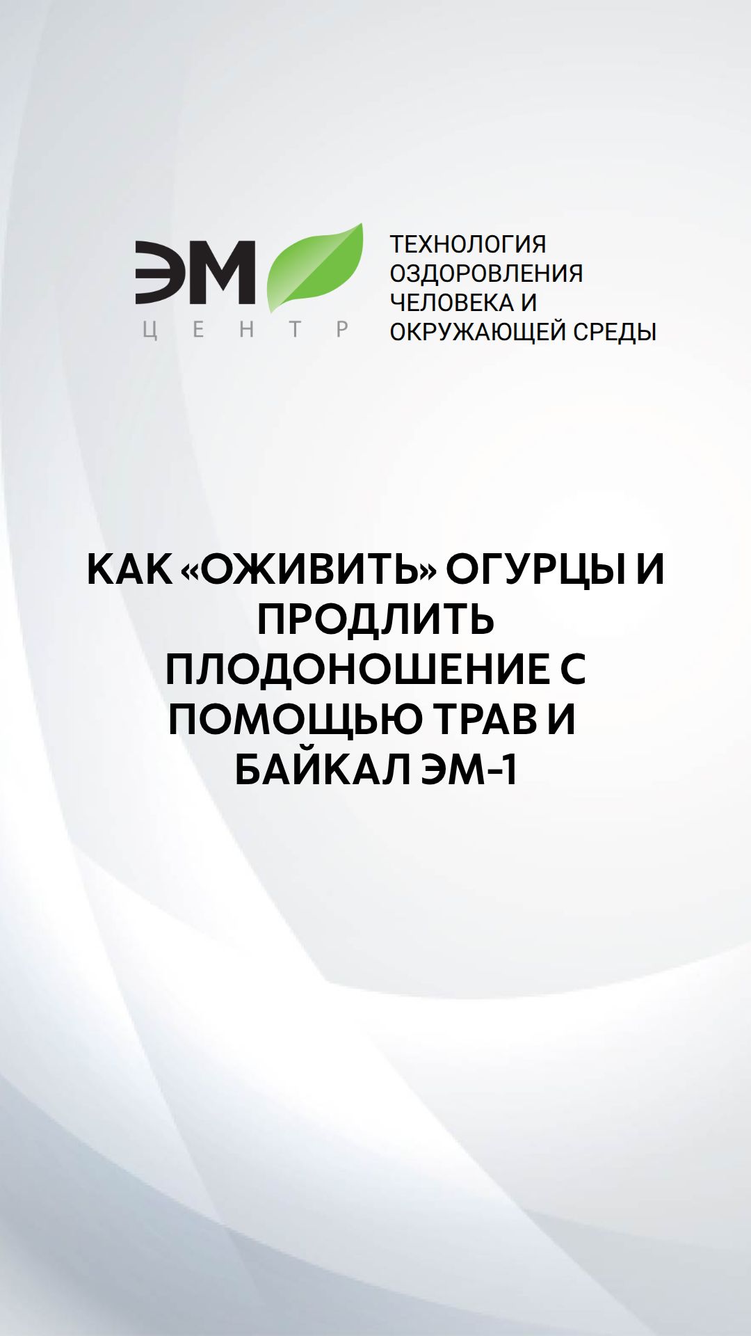Как «оживить» огурцы и продлить плодоношение с помощью трав и Байкал ЭМ-1