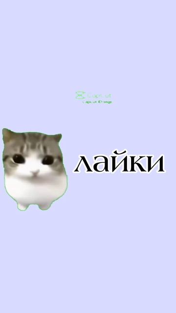 видео не будет