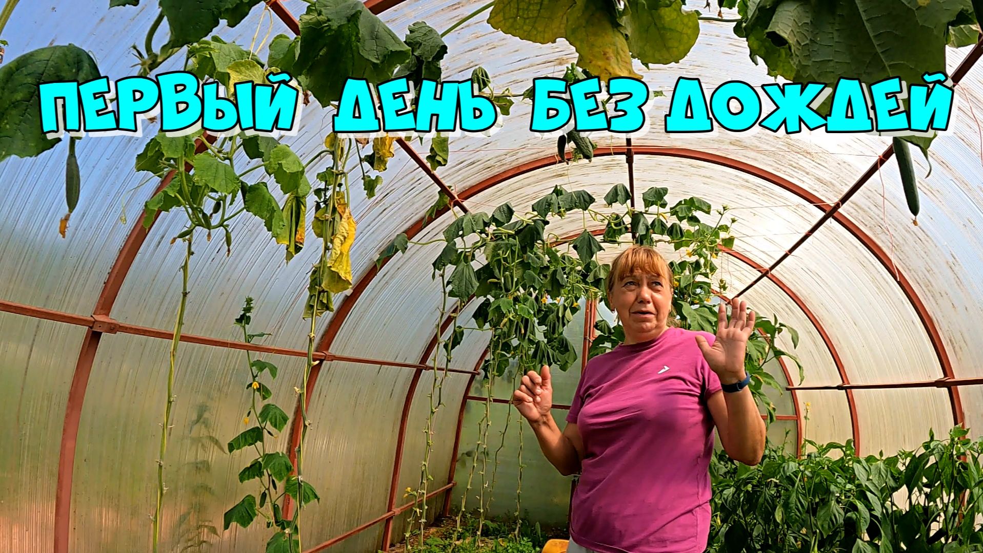 ПЕРВЫЙ ДЕНЬ БЕЗ ДОЖДЕЙ