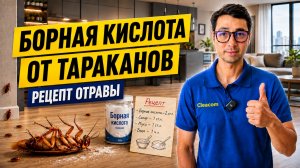 Борная кислота от тараканов - рецепт приготовления отравы