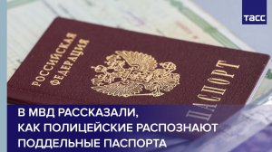 В МВД рассказали, как полицейские распознают поддельные паспорта