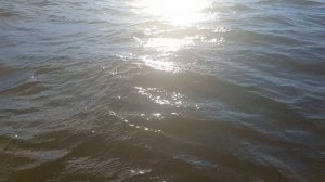 Шторм. Закрываем купальный сезон. почти ASMR 😊🌊
