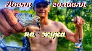 ЛОВЛЯ ГОЛАВЛЯ НА ЖУКА/РЕКА КОНДУРЧА/РЫБАЛКА НА СПИННИНГ/ГОЛАВЛЬ НА МИКРО-РЕЧКЕ/РЫБАЛКА В САМАРЕ/2026