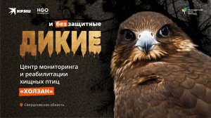 Спасают балобана от вымирания