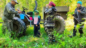 СОБИРАЕМ ЧЕРНИКУ В ЛЕСУ. ГРИБОВ ЧИСТЫХ НЕТ ДО СИХ ПОР ИЗ-ЗА ЖАРЫ.