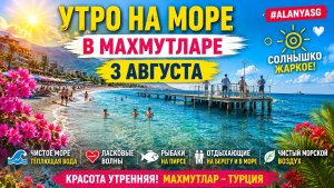 🌊Утро на море в Махмутларе 3 августа 🌞 Чистая вода, рыбаки и жаркое солнце | Аланья, Турция2026.