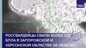 Росгвардейцы сбили более 220 БПЛА в Запорожской и Херсонской областях за неделю