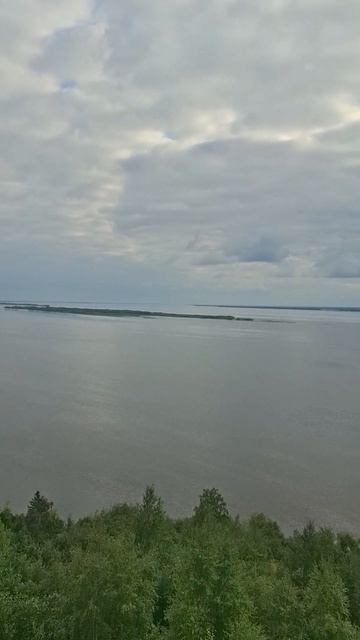 Поход в лес. 3 августа.