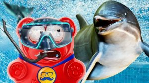 НОВЫЕ ПРИКЛЮЧЕНИЯ ЖЕЛЕЙНОГО МЕДВЕДЯ ВАЛЕРЫ НА МОРЕ С ДЕЛЬФИНАМИ!!!