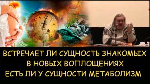 ✅ Н.Левашов. Встречает ли сущность знакомых в новых воплощениях. Есть ли у сущности метаболизм