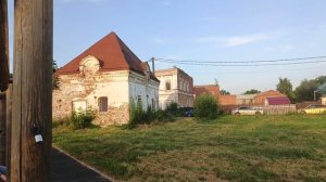 Березка на верху