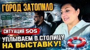 Привет Я Индия. УПЛЫВАЕМ В СТОЛИЦУ НА ВЫСТАВКУ! ГОТОВИМСЯ К СЕЗОНУ ФЕСТИВАЛЕЙ!