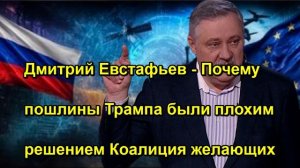 Дмитрий Евстафьев Почему пошлины Трампа были плохим решением Коалиция желающих