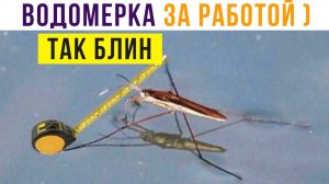 ВОДОМЕРКА ЗА РАБОТОЙ))) Приколы