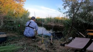 РЫБАЛКА в + 40! ЖАРА НЕ ОСТАНОВИЛА НАС, А САЗАН ВСЁ- ТАКИ КЛЕВАЛ!