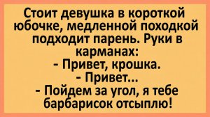 Стоит девушка в короткой юбочке, медленной походкой подходит парень... | Анекдоты смешные | Юмор