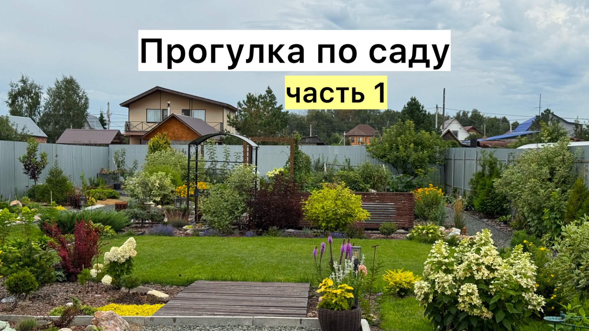 Обзор необычного САДА в начале августа!