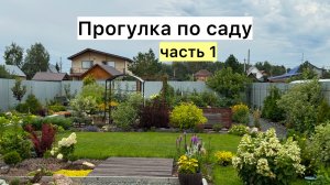 Обзор необычного САДА в начале августа!