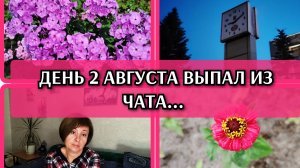03-08-2026 Плохо было после гулянки🤦Цветут цветы🌹Распаковка на ночь глядя🛒Комментарии❤️