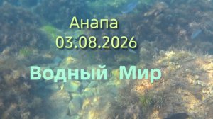 Анапа 03.08.2026 Водный Мир