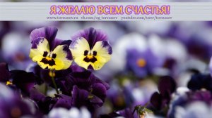 Молитва за мир во всем мире! Live 03.08.2026