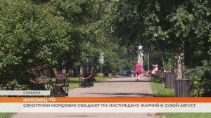 Синоптики Мордовии обещают по-настоящему жаркий и сухой август