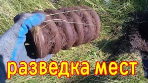 Металлокоп по новым местам.