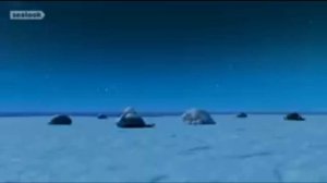 тюленьки ритп (я новенькая)
