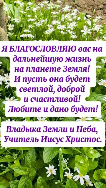 Я БЛАГОДАРЮ ВАС!