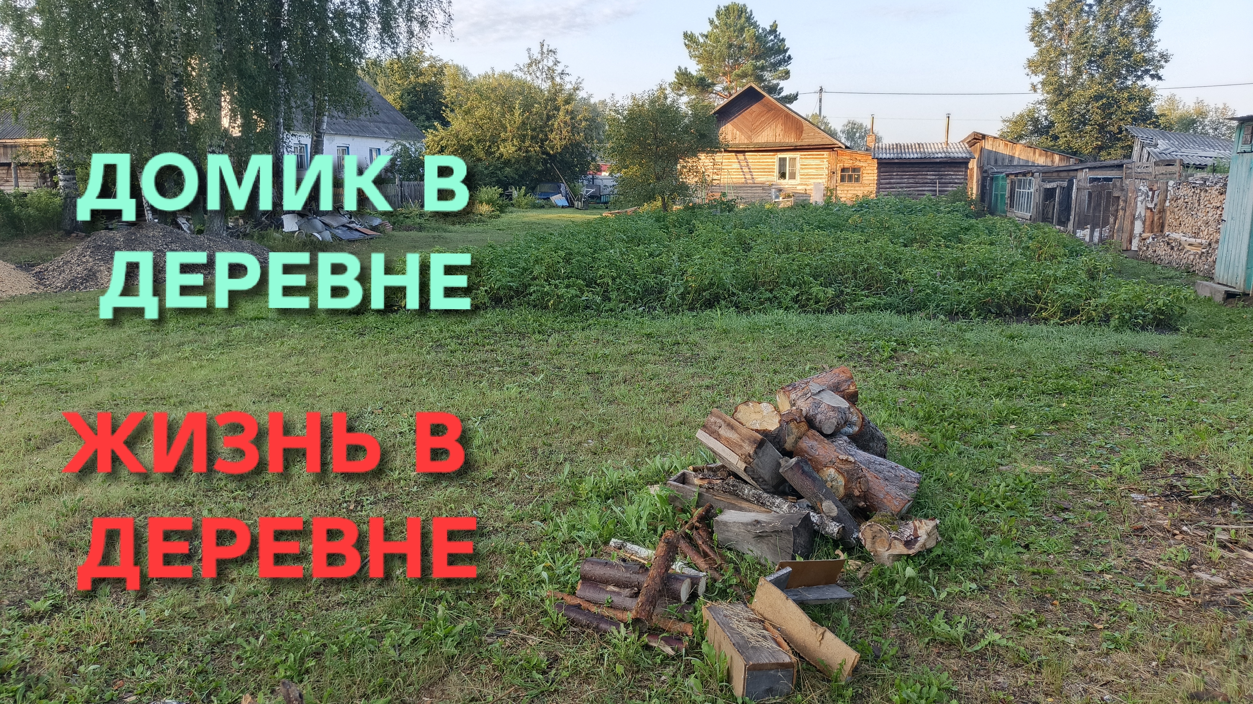 Домик в деревне На ногах с 5 утра, отмыл уток и подкормил малину. Обзор работы на участке